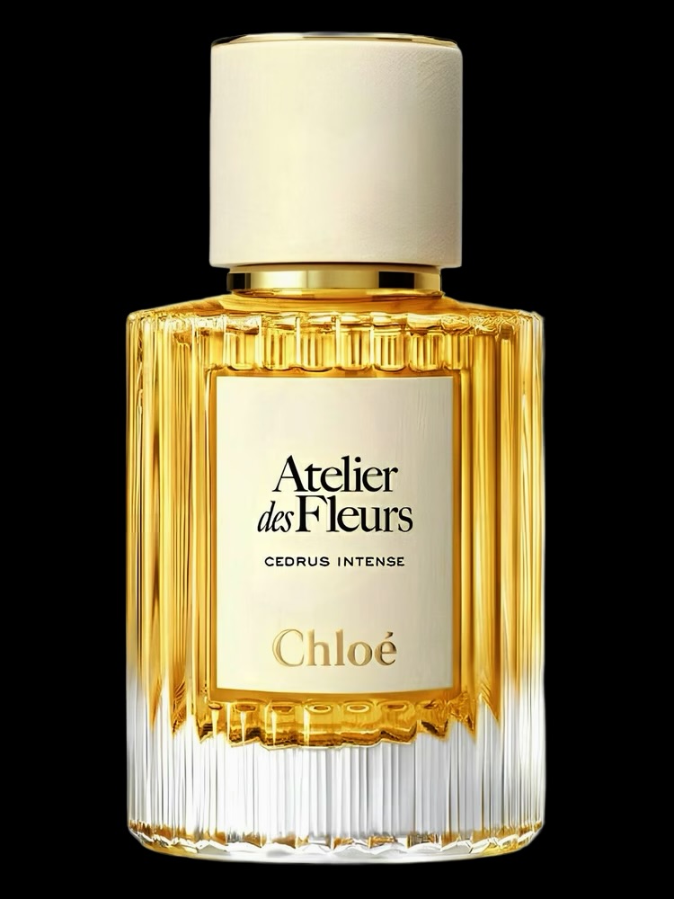 Chloé Cedrus Intense
